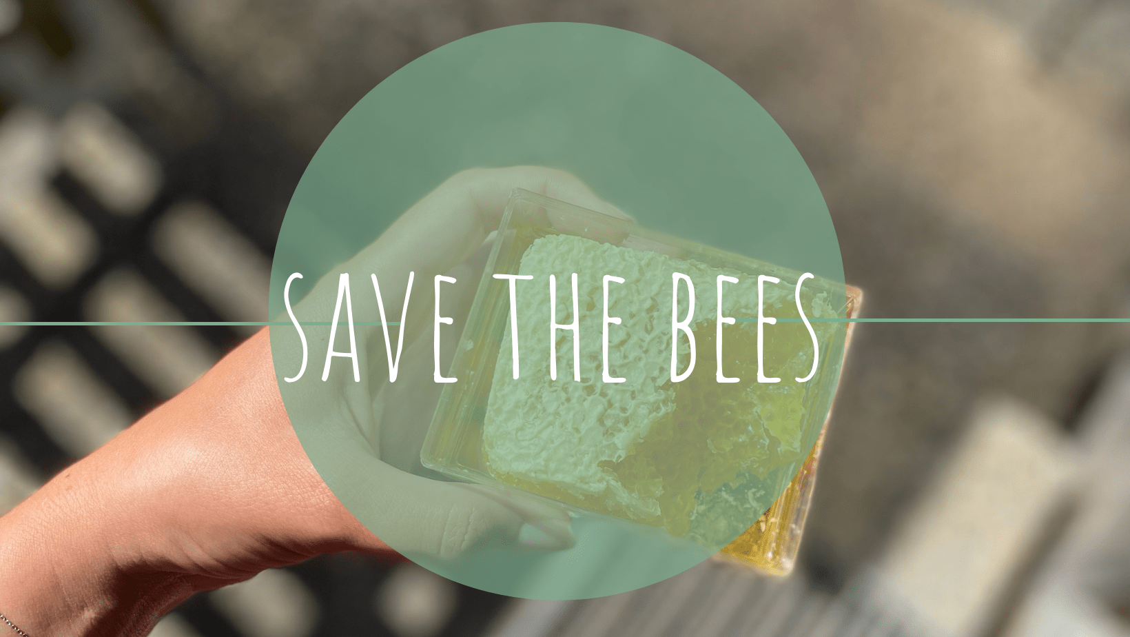 Titel Save the bees