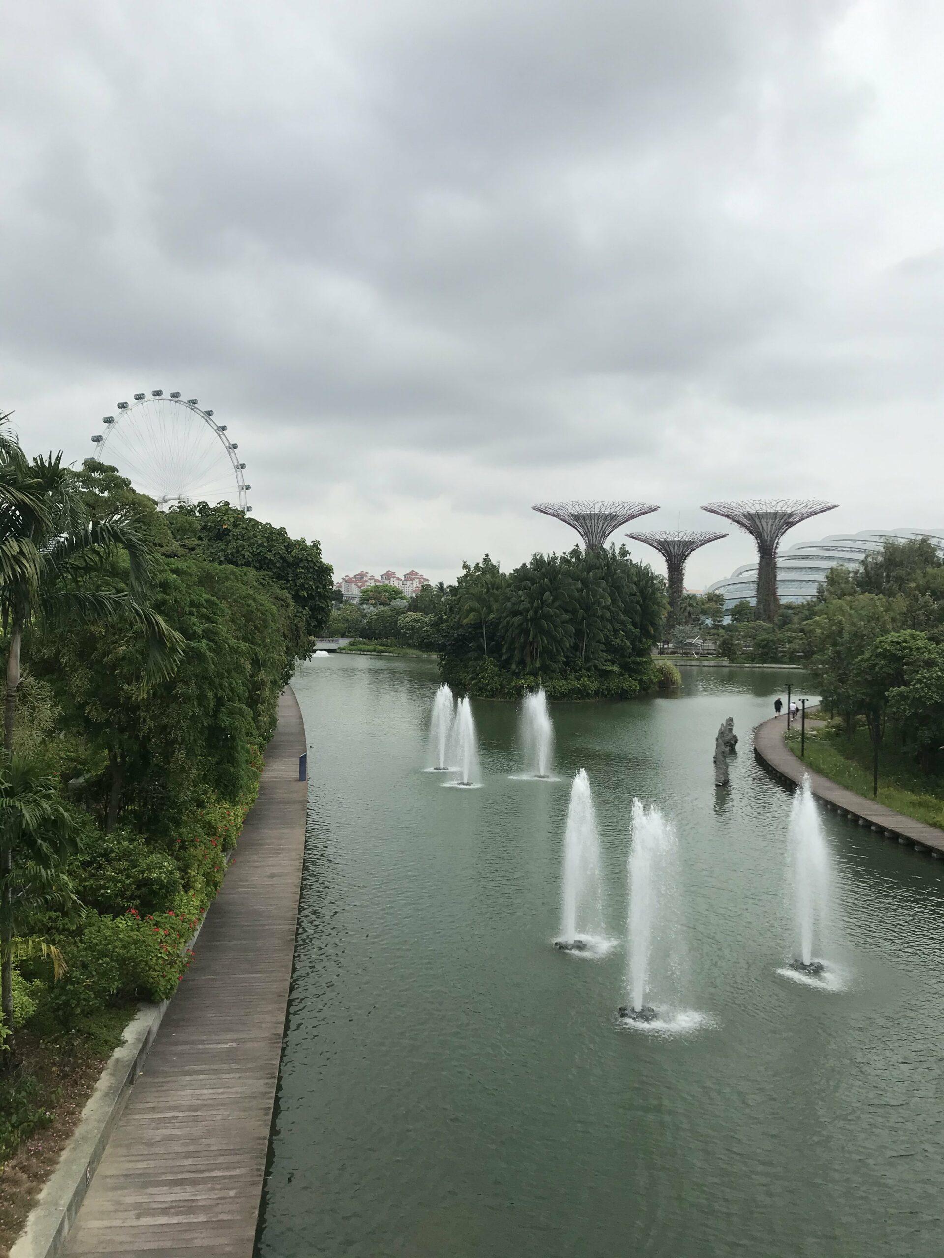 Singapore Nature