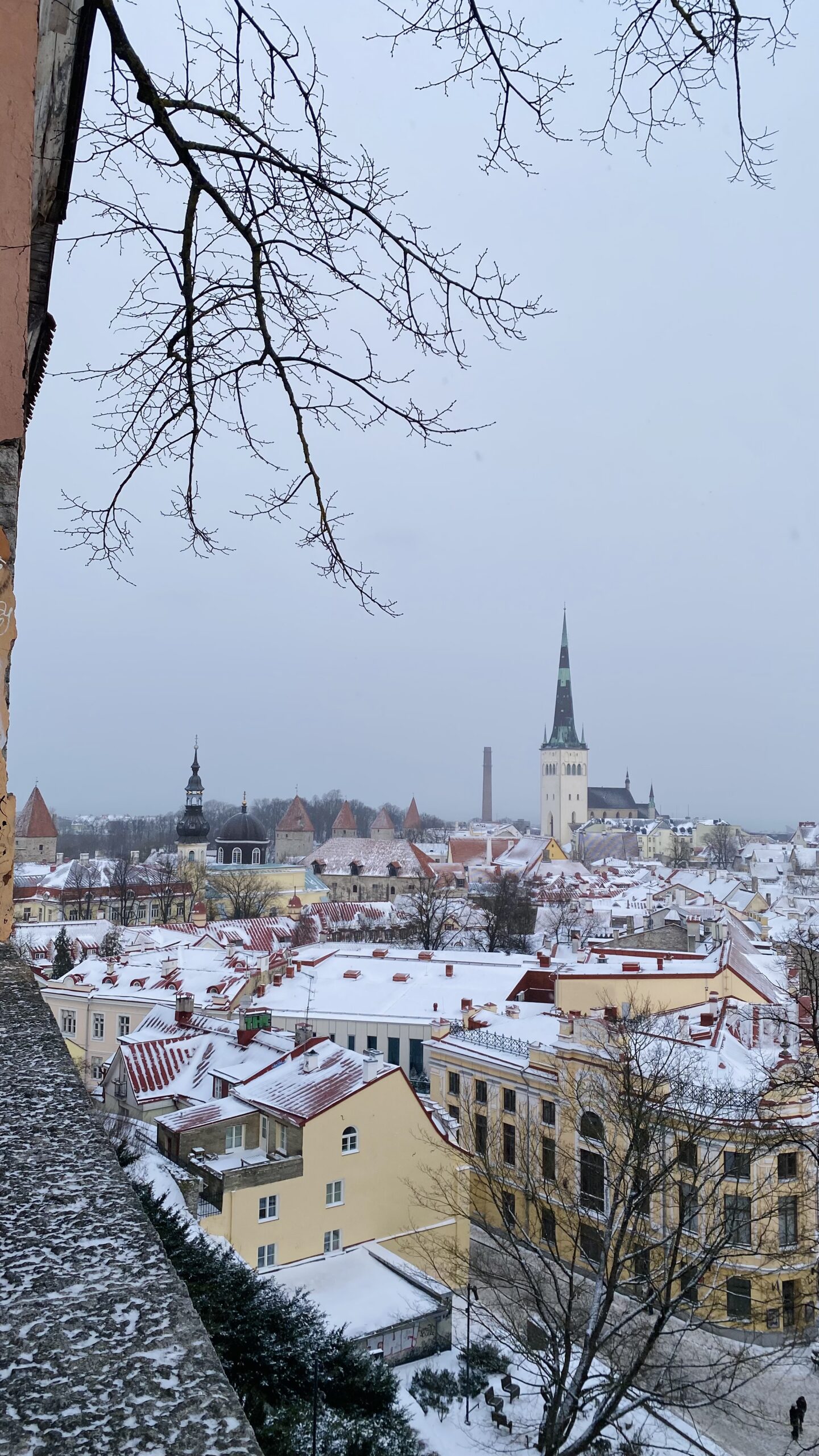 Aussicht Tallinn
