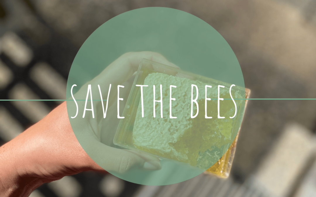 Save the Bees – Wie wir den Bienen helfen können